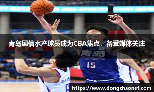 BoB半岛·体育中国官方网站