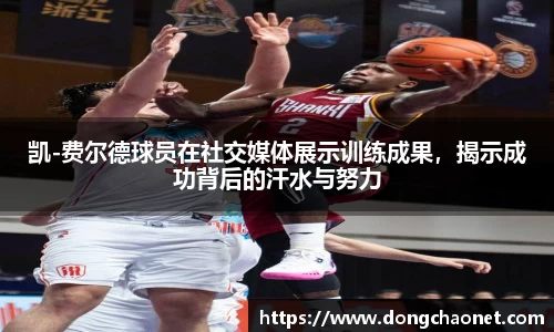 半岛bob·官方网站