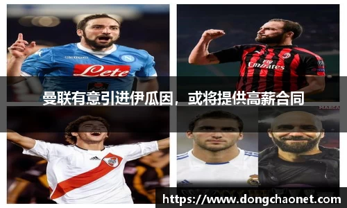 BoB半岛·体育中国官方网站