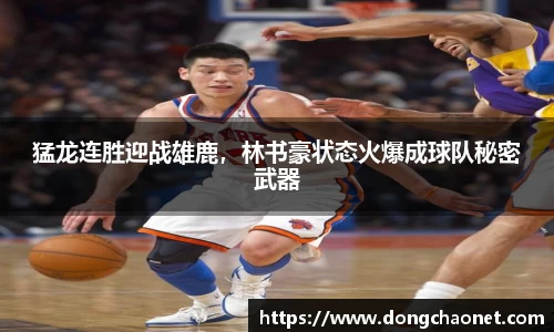 BoB半岛·体育中国官方网站