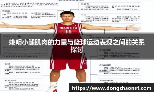 姚明小腿肌肉的力量与篮球运动表现之间的关系探讨