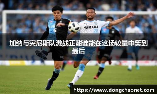 半岛bob·官方网站