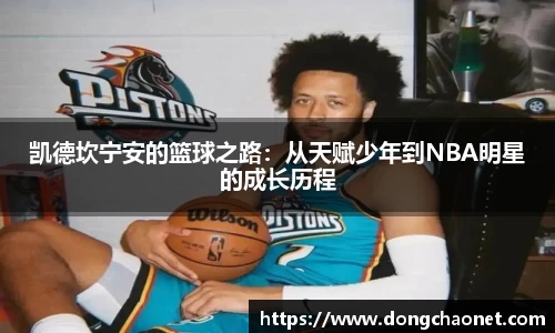 BoB半岛·体育中国官方网站
