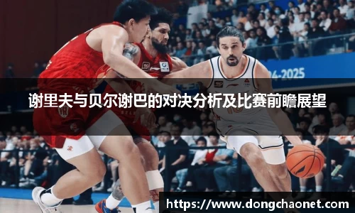 半岛bob·官方网站
