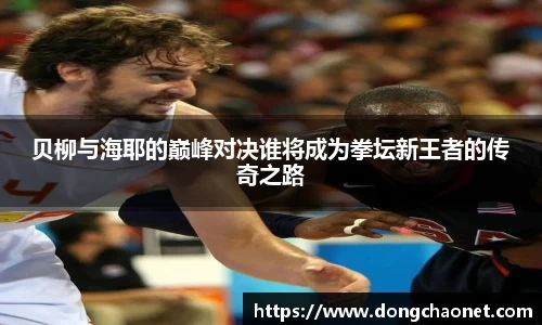 半岛bob·官方网站
