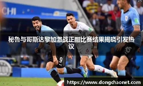 半岛·BOB官方网站