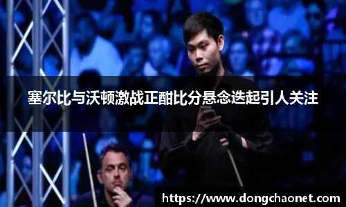 半岛·BOB官方网站