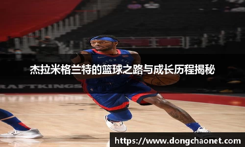 半岛·BOB官方网站