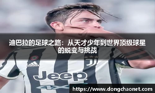 半岛·BOB官方网站