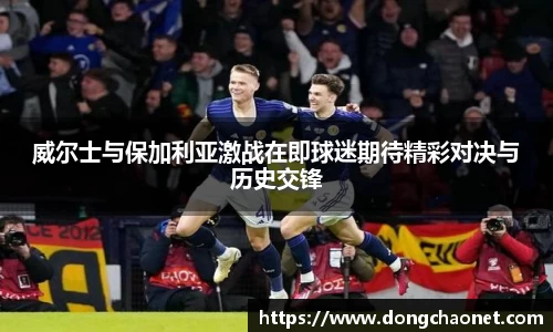 熊猫体育威尔士与保加利亚激战在即球迷期待精彩对决与历史交锋