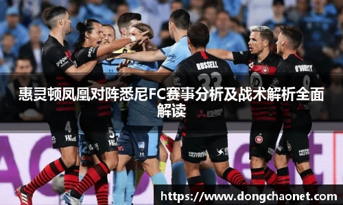 熊猫体育惠灵顿凤凰对阵悉尼FC赛事分析及战术解析全面解读